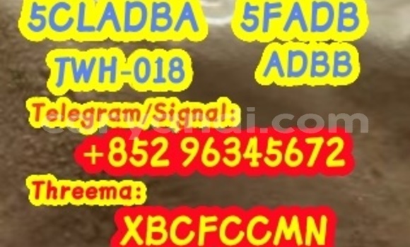 Medium with watermark 24