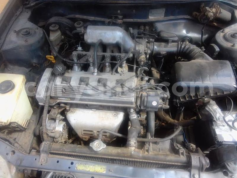 Big with watermark 56685748 408314623315012 690640099930537984 n