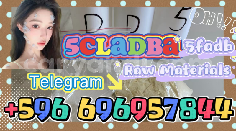 Big with watermark screenshot 2026 07 03 091509 089