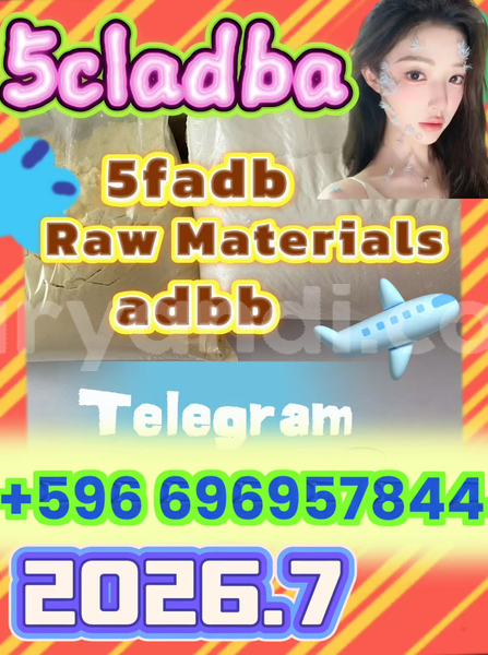 Big with watermark screenshot 2026 07 03 091222 170