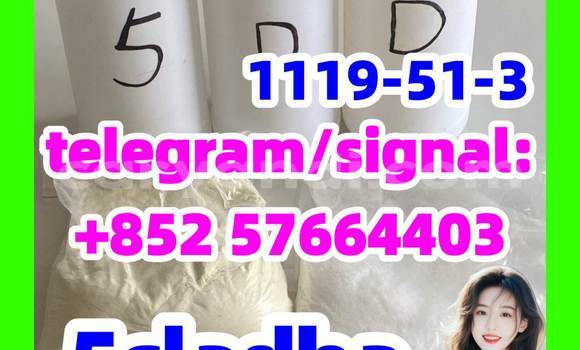 Medium with watermark 51