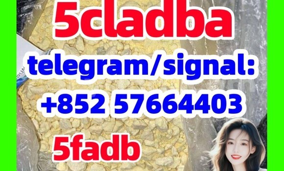 Medium with watermark 54