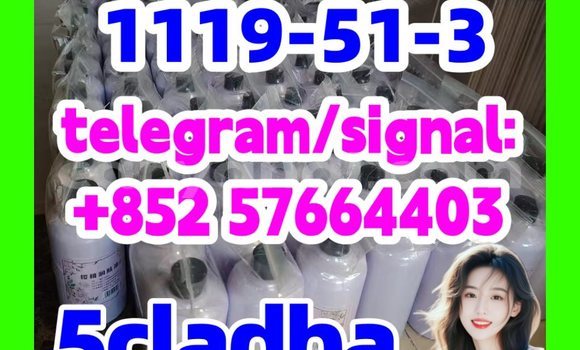 Medium with watermark 55