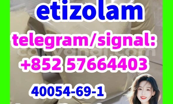 Medium with watermark e1