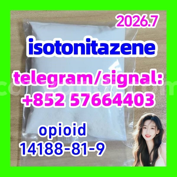 Big with watermark i2