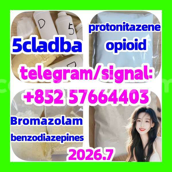 Big with watermark z1