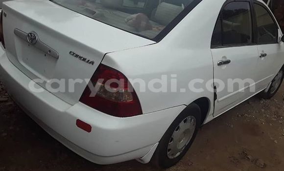 Buy Used Toyota Corolla White Car in Lusaka in Zambia Buy Used Toyota Corolla White Car in Lusaka in Zambia