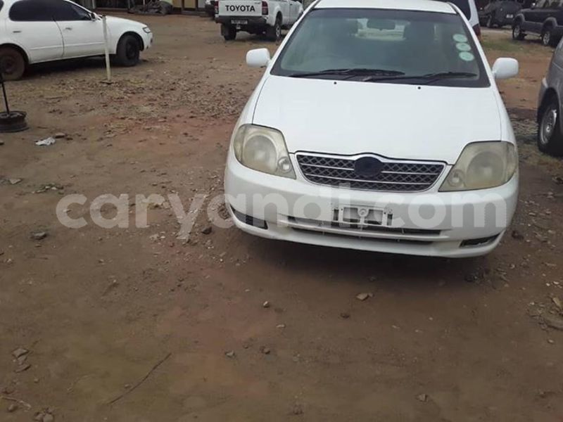 Big with watermark 56795579 407219266757881 7462905598384799744 n