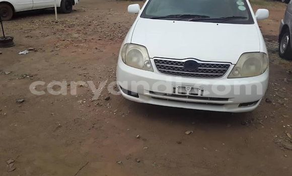 Buy Used Toyota Corolla White Car in Lusaka in Zambia Buy Used Toyota Corolla White Car in Lusaka in Zambia