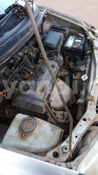 Big with watermark 56412424 406715696808238 8578968445276651520 n