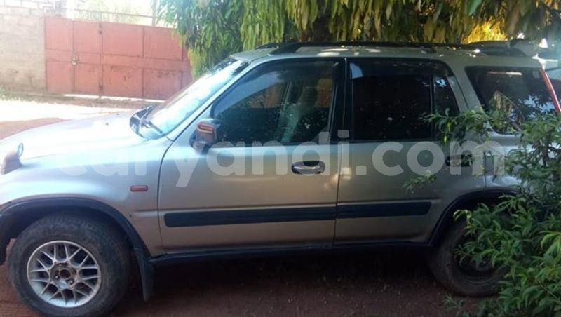 Big with watermark 55521044 401360960677045 1706642204669247488 n