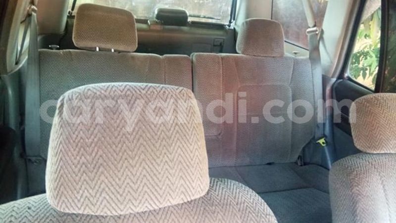 Big with watermark 55776351 401360994010375 4126727371111792640 n