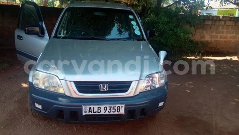 Big with watermark 55560332 401361047343703 4527008887055843328 n