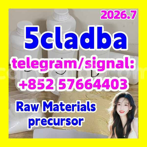 Big with watermark 51