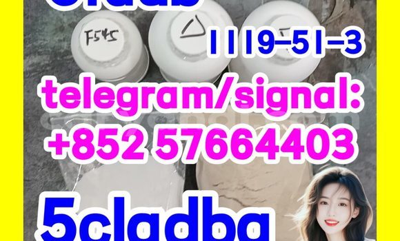 Medium with watermark 52