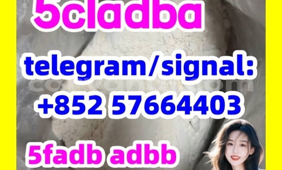 Medium with watermark 53