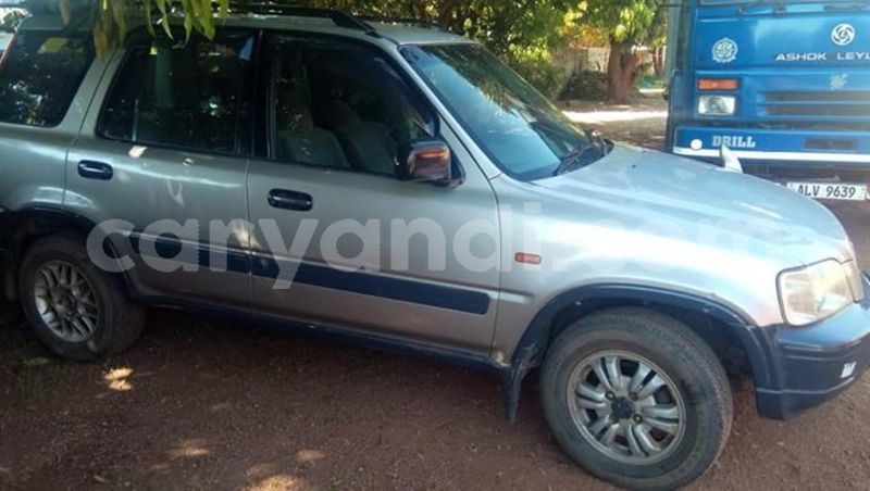 Big with watermark 55837790 401361070677034 8432657369271369728 n