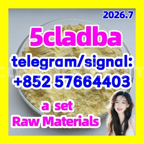 Big with watermark 55