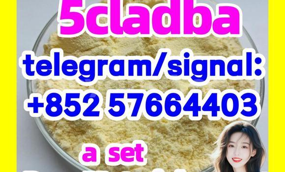 Medium with watermark 55