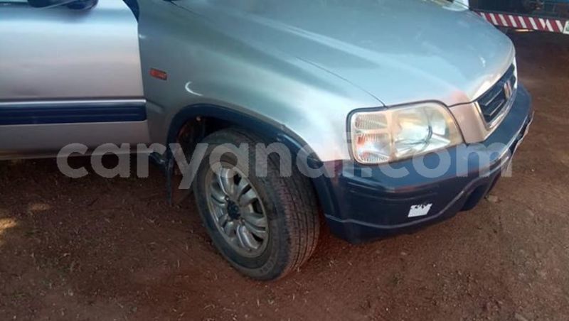 Big with watermark 55869235 401361104010364 6700640145630035968 n