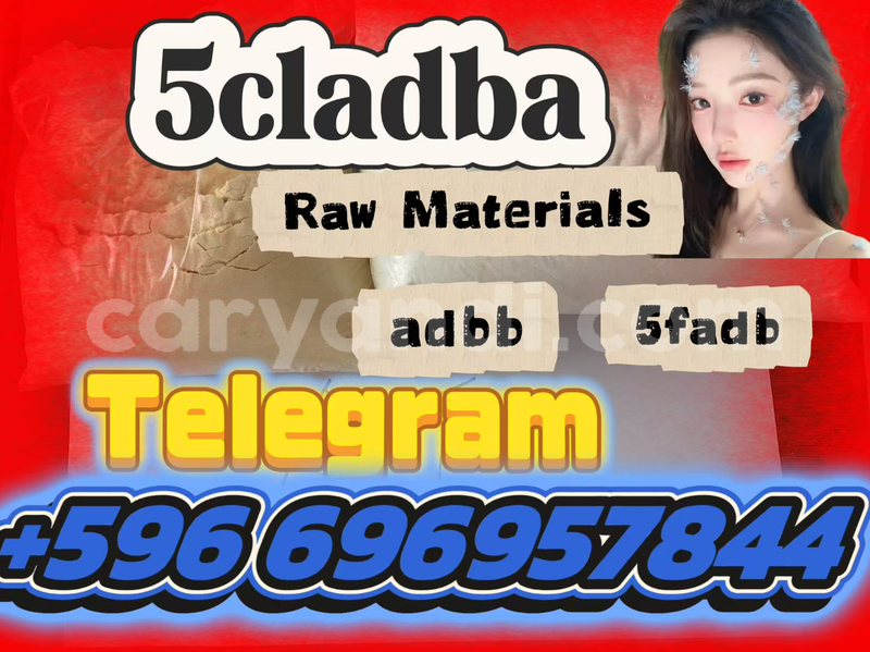 Big with watermark screenshot 2026 07 03 091120 955