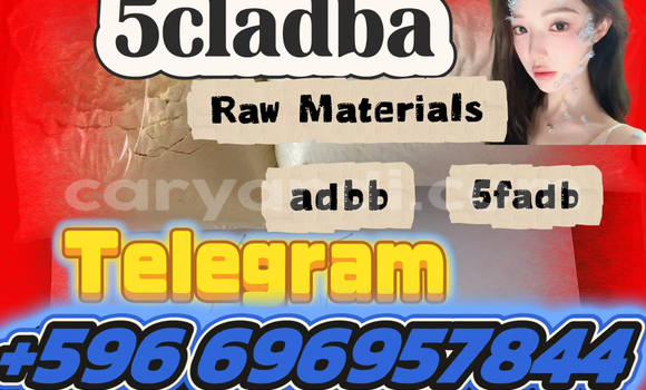 Medium with watermark screenshot 2026 07 03 091120 955