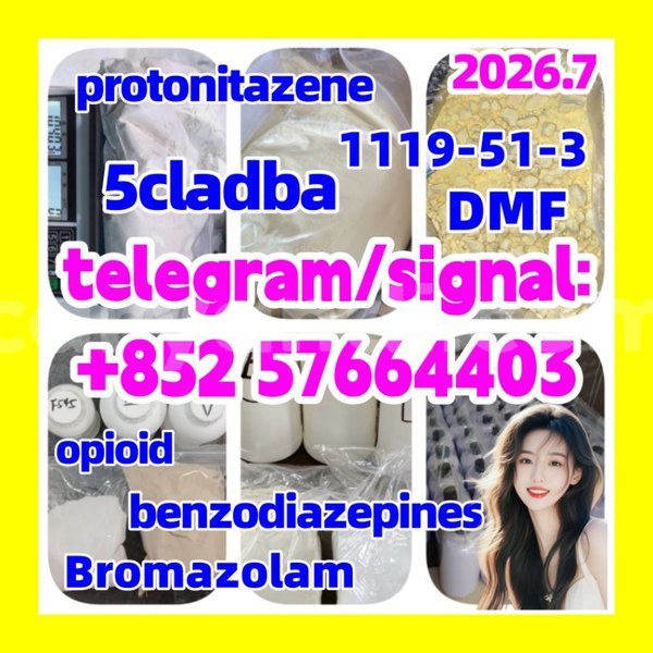 Big with watermark z1