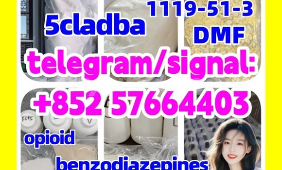 Medium with watermark z1