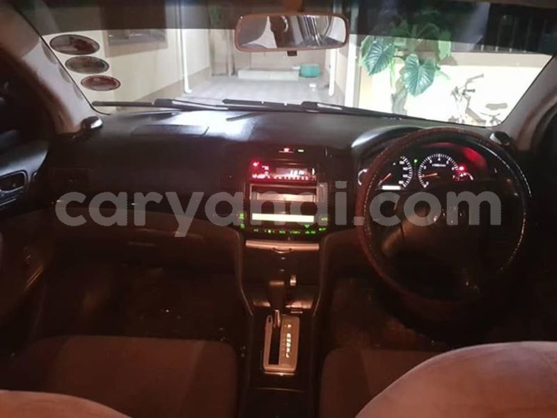 Big with watermark 57504203 232161741072857 5186956721192435712 n