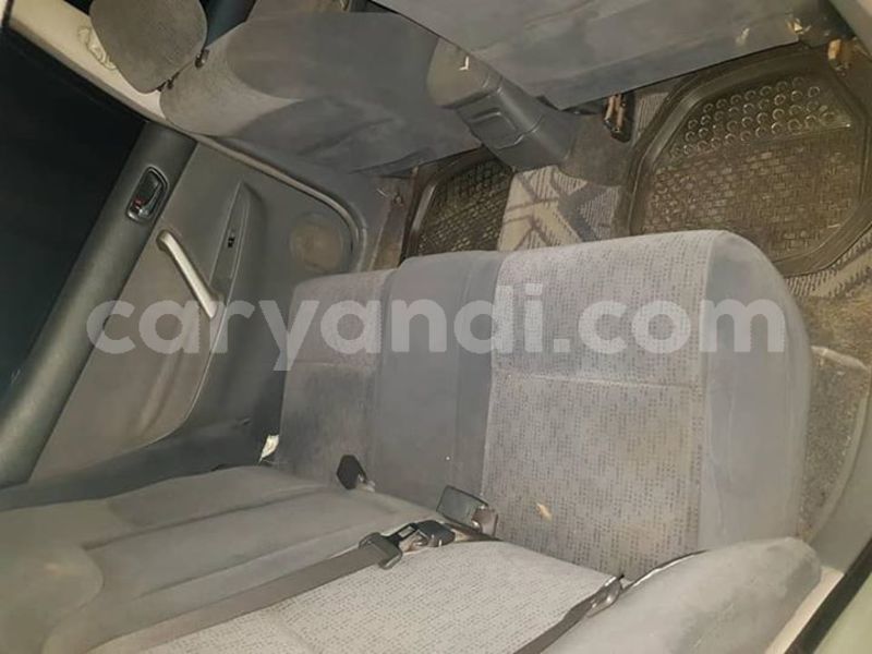 Big with watermark 57485541 232161721072859 872854894917189632 n