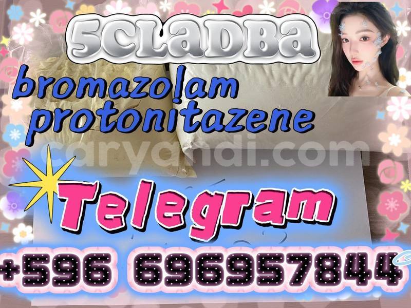Big with watermark photo 2026 07 02 01 26 08