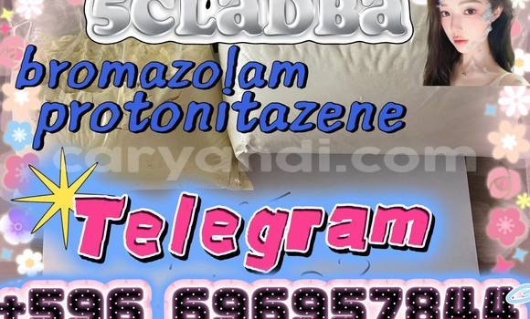 Medium with watermark photo 2026 07 02 01 26 08