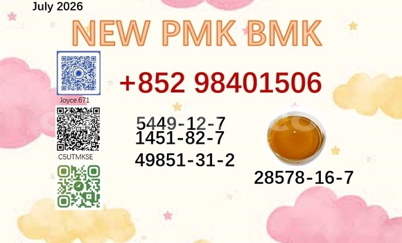28578-16-7 pmk bmk