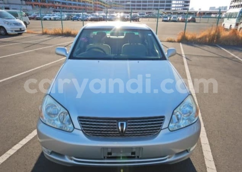 Big with watermark 57503448 231933084429056 2478643394801303552 n