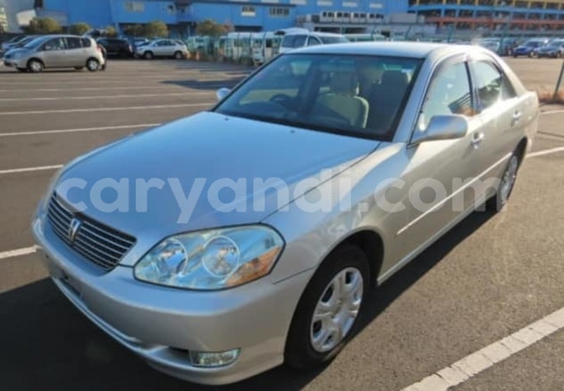 Big with watermark 57183845 231933234429041 685026801012965376 n