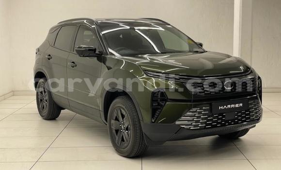 Buy Used Tata Telcoline Green Car in Chililabombwe in Copperbelt