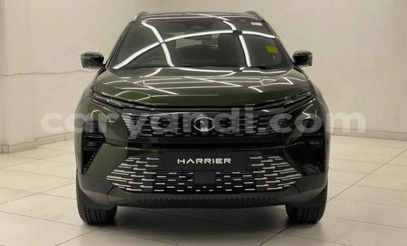 Buy Used Tata Telcoline Green Car in Chililabombwe in Copperbelt Buy Used Tata Telcoline Green Car in Chililabombwe in Copperbelt