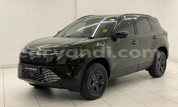 Buy Used Tata Telcoline Green Car in Chililabombwe in Copperbelt Buy Used Tata Telcoline Green Car in Chililabombwe in Copperbelt