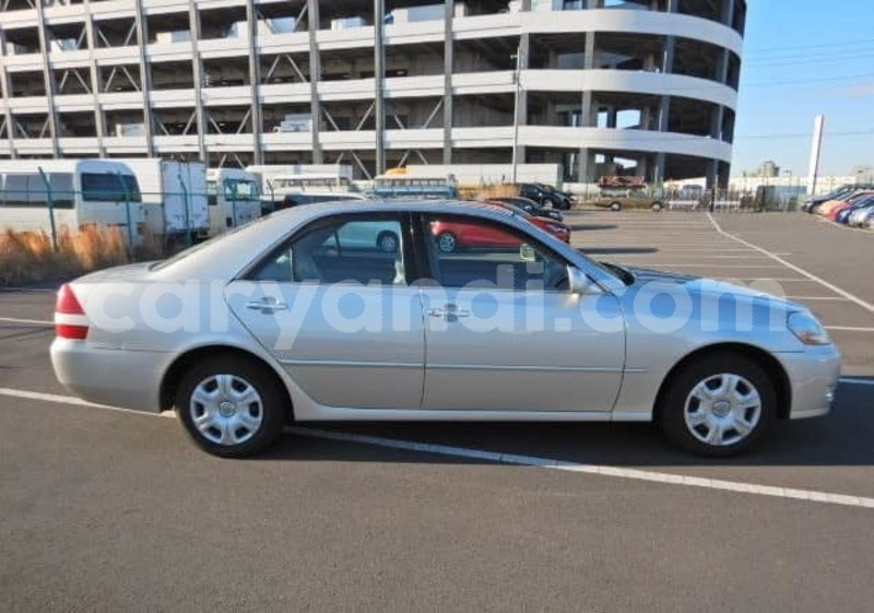 Big with watermark 56887135 231933267762371 6676530900764721152 n