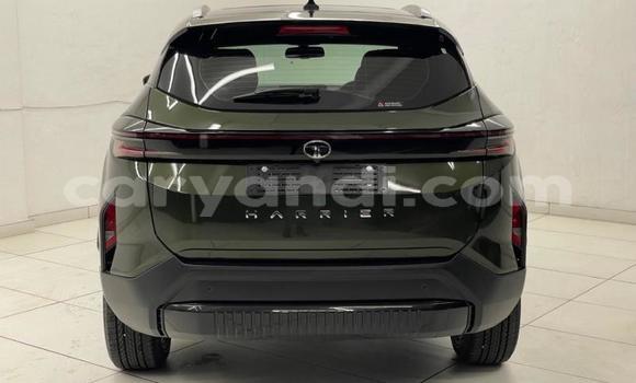 Buy Used Tata Telcoline Green Car in Chililabombwe in Copperbelt Buy Used Tata Telcoline Green Car in Chililabombwe in Copperbelt