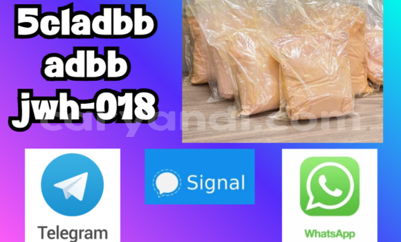 Medium with watermark screenshot 44
