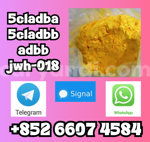 Big with watermark screenshot 48