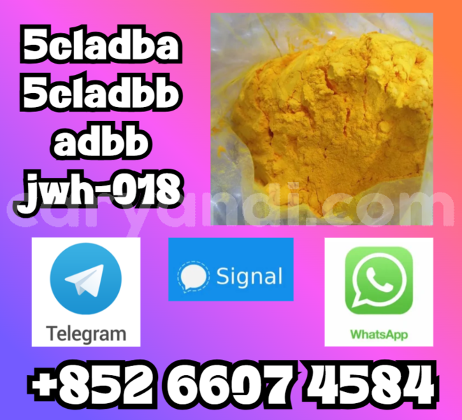 Big with watermark screenshot 52