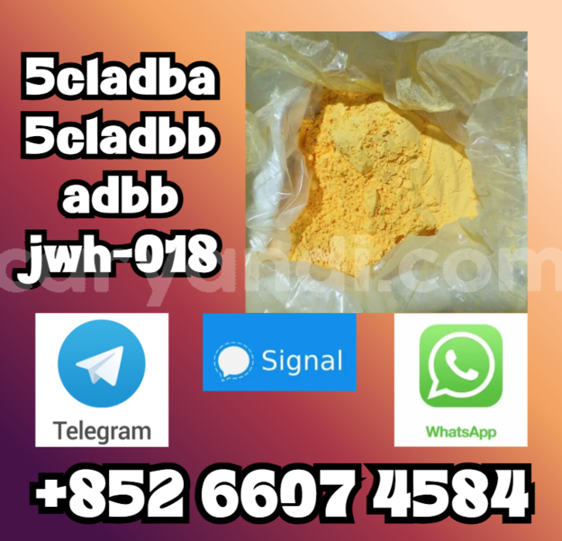 Big with watermark screenshot 56