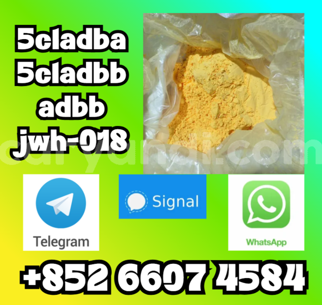 Big with watermark screenshot 60