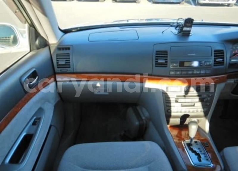 Big with watermark 57246935 231933467762351 5863338715111227392 n