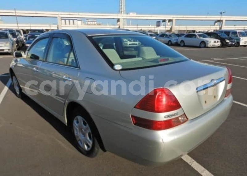 Big with watermark 57032119 231933541095677 9088349676796641280 n