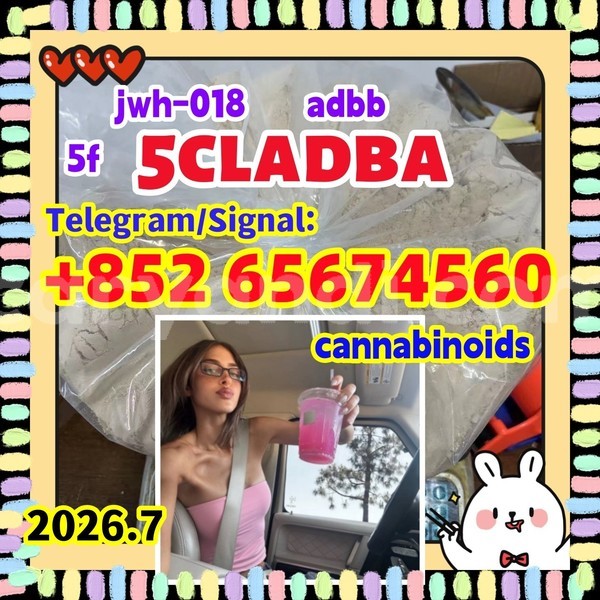 Big with watermark sdvrgvervrb %e5%89%af%e6%9c%ac