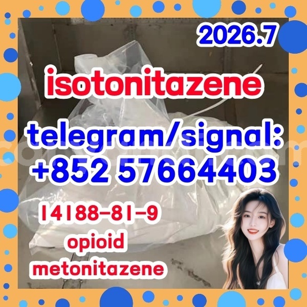 Big with watermark i1