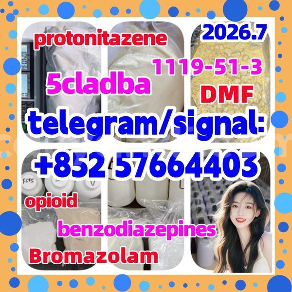 Big with watermark z1